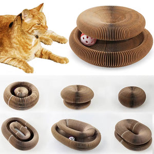 Interactive Magic Organ Foldable Cat Scratch Board with Bell - Fun Climbing Frame & Grinding Toy for Happy Cats!