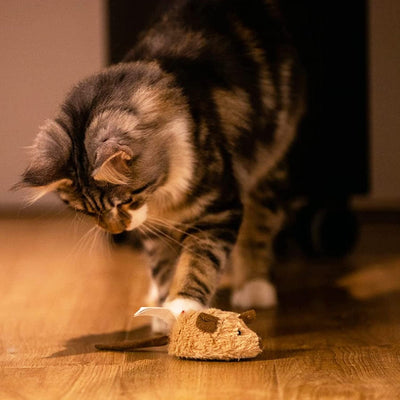 Interactive Electronic Cat Toys for Indoor Cats - Realistic Squeaky Mouse with Automatic Movement for Self-Play and Exercise (Brown Ear)