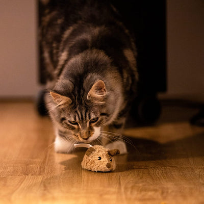 Interactive Electronic Cat Toys for Indoor Cats - Realistic Squeaky Mouse with Automatic Movement for Self-Play and Exercise (Brown Ear)