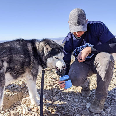 Portable Dog Water Bottle with Integrated Bowl, Leak-Proof Squeeze Dispenser for Outdoor Activities, Hiking, and Camping