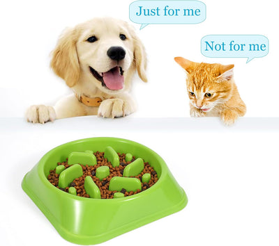Eco-Friendly Slow Feeder Dog Bowl - Non-Toxic Design for Healthy Eating (Size S-M, Green)